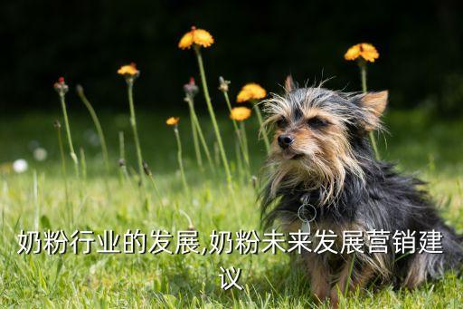 未来奶粉行业的发展,奶粉未来发展营销建议