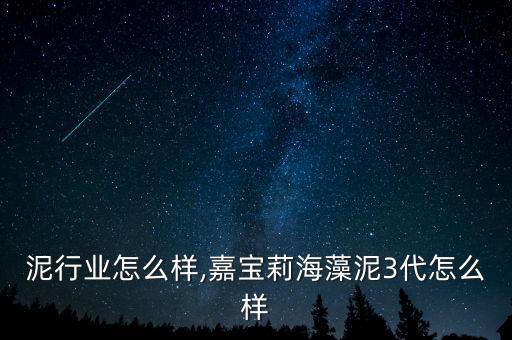 海藻泥行业怎么样,嘉宝莉海藻泥3代怎么样