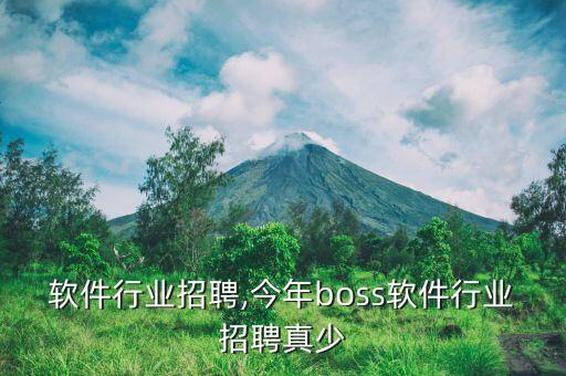软件行业招聘,今年boss软件行业招聘真少