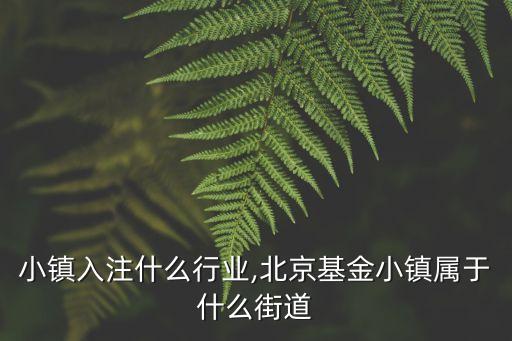 小镇入注什么行业,北京基金小镇属于什么街道