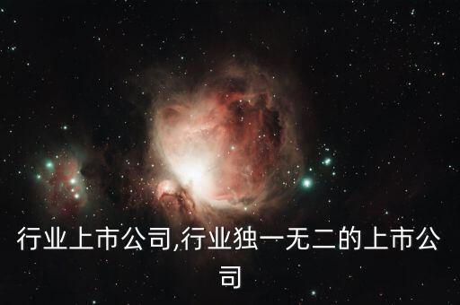 行业上市公司,行业独一无二的上市公司