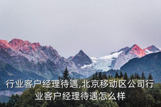 行业客户经理待遇,北京移动区公司行业客户经理待遇怎么样