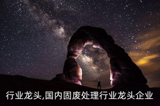 固废行业龙头,国内固废处理行业龙头企业