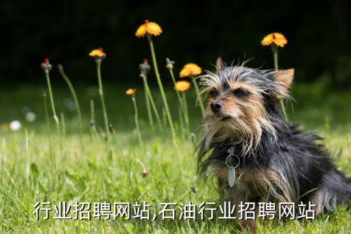 健身行业招聘网站,石油行业招聘网站