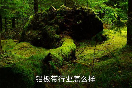 铝板带行业怎么样