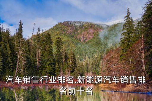 汽车销售行业排名,新能源汽车销售排名前十名