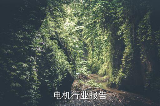 减速电机行业报告