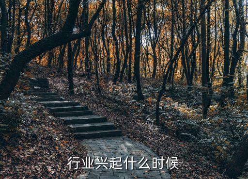 行业兴起什么时候