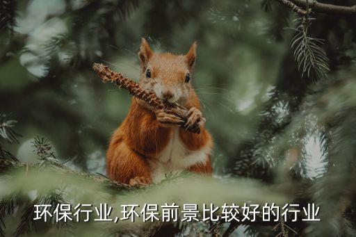 环保行业,环保前景比较好的行业