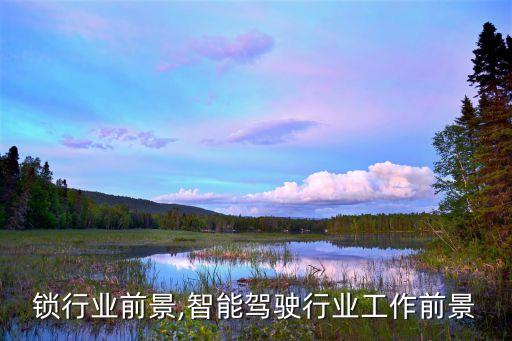 智能锁行业前景,智能驾驶行业工作前景