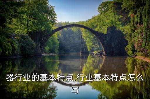 器行业的基本特点,行业基本特点怎么写
