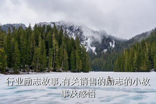 行业励志故事,有关销售的励志的小故事及感悟