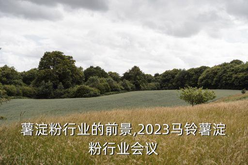 马铃薯淀粉行业的前景,2023马铃薯淀粉行业会议