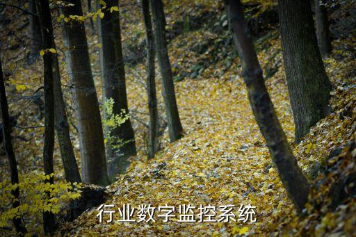 行业数字监控系统