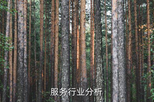通信服务行业分析
