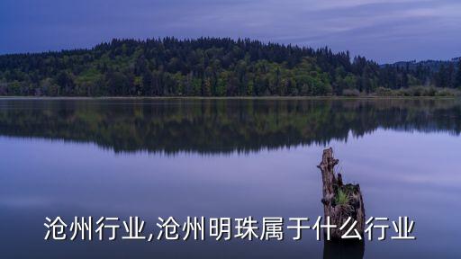 沧州行业,沧州明珠属于什么行业