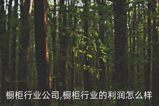橱柜行业公司,橱柜行业的利润怎么样