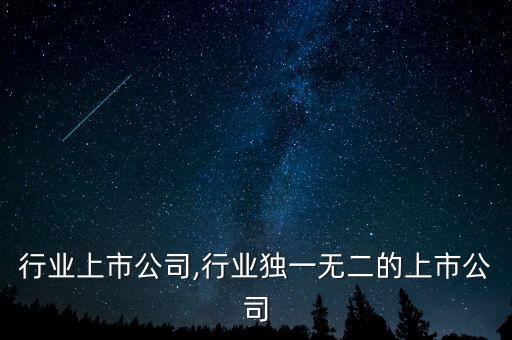 行业上市公司,行业独一无二的上市公司