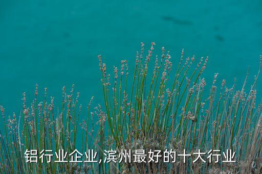 滨州铝行业企业,滨州最好的十大行业
