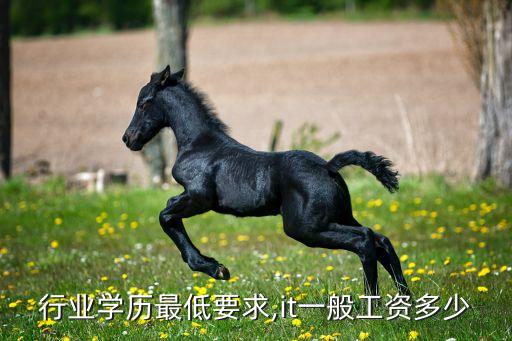 行业学历最低要求,it一般工资多少