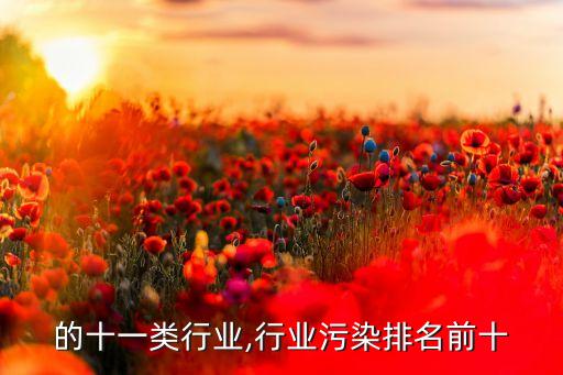 的十一类行业,行业污染排名前十