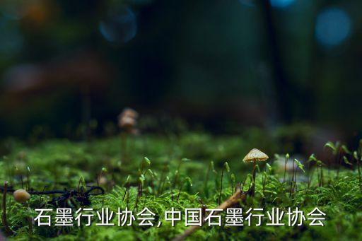 石墨行业协会,中国石墨行业协会