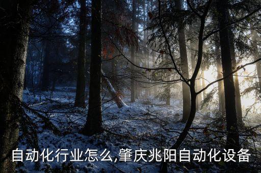 肇庆自动化行业怎么,肇庆兆阳自动化设备