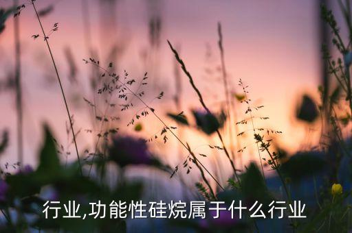 硅烷行业,功能性硅烷属于什么行业