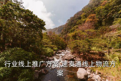 行业线上推广方案,速卖通线上物流方案