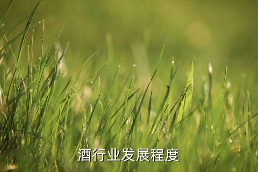 气泡酒行业发展程度