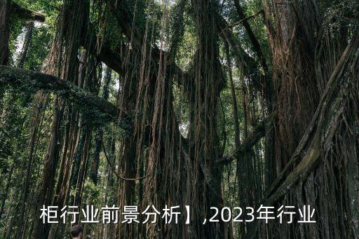 柜行业前景分析】,2023年行业