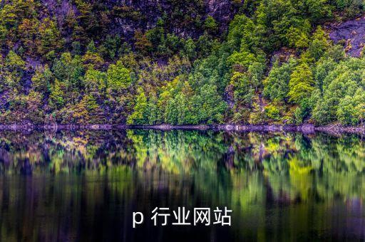 php 行业网站