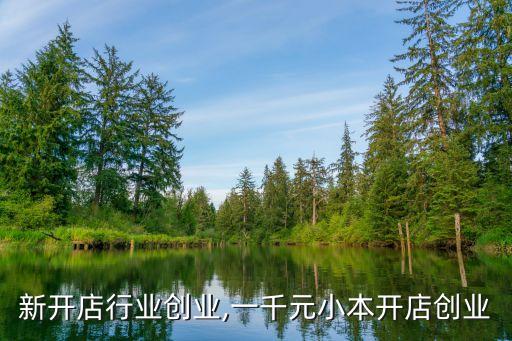 0元新开店行业创业,一千元小本开店创业
