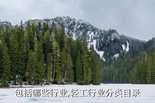 轻工包括哪些行业,轻工行业分类目录