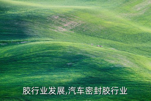 胶行业发展,汽车密封胶行业