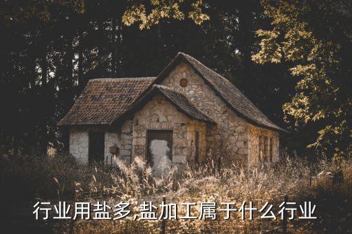 什么行业用盐多,盐加工属于什么行业