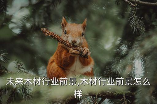 中国未来木材行业前景,木材行业前景怎么样