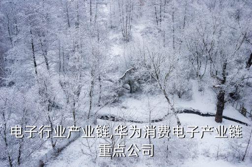 电子行业产业链,华为消费电子产业链重点公司