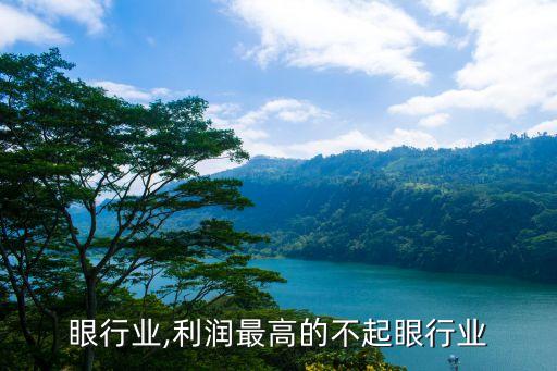 眼行业,利润最高的不起眼行业