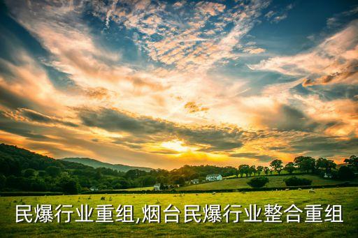 河北民爆行业重组,烟台民爆行业整合重组