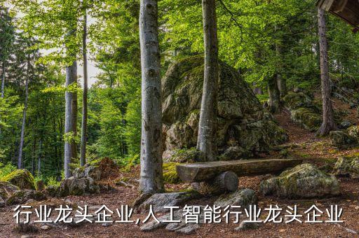 行业龙头企业,人工智能行业龙头企业