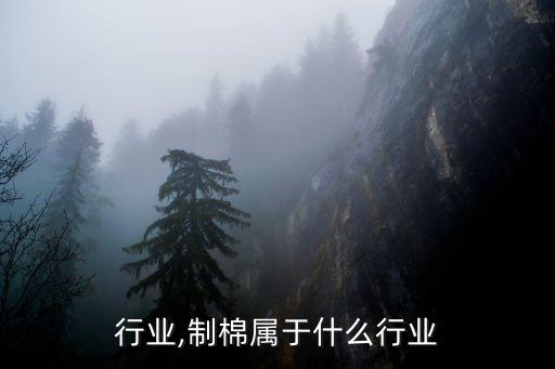 棉签行业,制棉属于什么行业