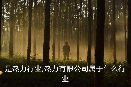 是热力行业,热力有限公司属于什么行业