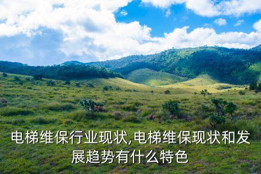 国外电梯维保行业现状,电梯维保现状和发展趋势有什么特色