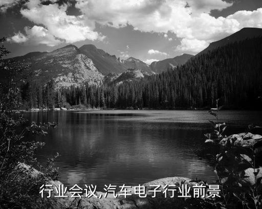 行业会议,汽车电子行业前景