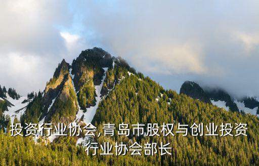创业投资行业协会,青岛市股权与创业投资行业协会部长