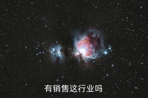 宾馆有销售这行业吗