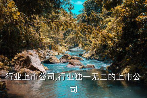 礼品行业上市公司,行业独一无二的上市公司