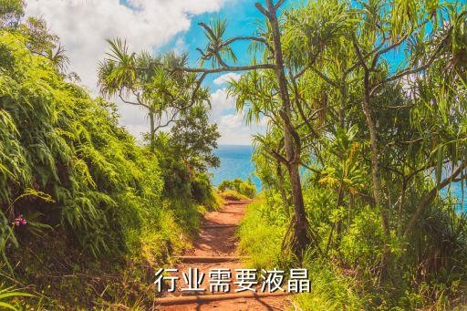 哪些行业需要液晶