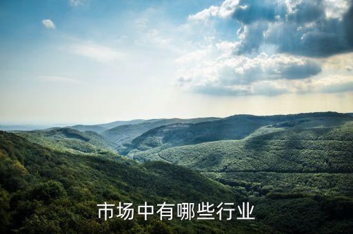 市场中有哪些行业